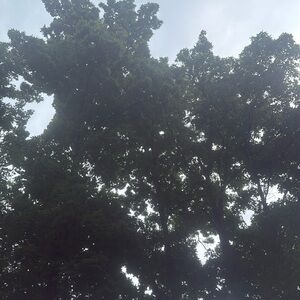 Meet your Posher, Pllumb n florinda